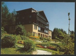 Delcampe - MONTANA Valais Wallis Pension BETHANIA - Sion