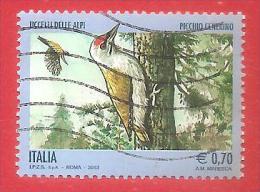 ITALIA REPUBBLICA USATO - 2013 - Uccelli Delle Alpi - Picchio Cenerino - € 0,70 - S. 3454 - 2011-20: Gebraucht