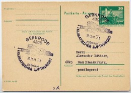 FERIENHEIM FRITZ HECKERT Gernrode 1981 Auf DDR P 81A Antwort-Postkarte - Settore Alberghiero & Ristorazione
