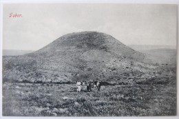 Mont Tabor (Israël), Carte Postale Ancienne. - Israele