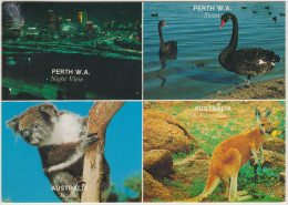 Perth - Night View, Swan, Koala & Kangaroo   (+ 80 C. Stamp Australia) - Perth