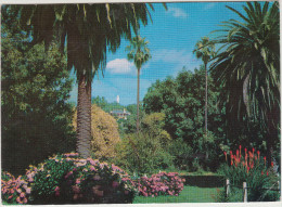 Albury - Monument Hill From The Botanical Gardens - N.S.W.   Australia - Albury