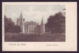 CPA Belgique - Luxembourg - Environs De Wellin - Château De SOHIER - Carte Postale  // - Wellin