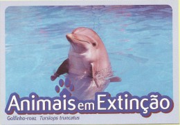 CARTE POSTALE - POSTCARD - POSTKARTE - CARTOLINA POSTA - PORTUGAL - ANIMAUX - DAPHIN-RÉEL - Tursiops Truncatus - Dolphins