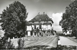 Schloss Arenenberg Am Untersee - Napoleon Museum          Ca. 1950 - Altri & Non Classificati