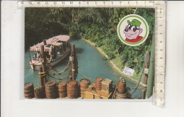 PO5835C# PARCHI DIVERTIMENTI - DISNEY WORLD - TOPOLINO BASSOTTI -ADVENTURELAND - PUBBLICITA' BISCOTTI ACCORNERO   No VG - Disneyworld