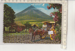 PO5868C# FILIPPINE - CALESA - CARROZZA CAVALLI   VG 1984 - Philippinen