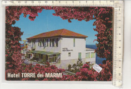 PO6094C# ROMA - ALBERGO HOTEL RISTORANTE TORRE DEI  MARMI  No VG - Bar, Alberghi & Ristoranti