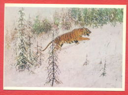 145292 / Russia Art A. Komarov  - Poems V. Kozhevnikov - Tiger Le Tigre (Panthera Tigris) -  Russie Russland Rusland - Tigers