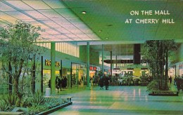 On The Mall Cherry Hill New Jersey 1964 - Cherry Hill