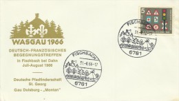 Germany 1966 Wasgau 1966 Souvenir Cover - Covers & Documents