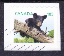 CANADA   2013    OURS     TB - Used Stamps