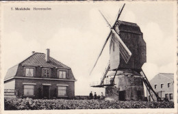 MEULEBEKE : Herentmolen - Molen - Meulebeke