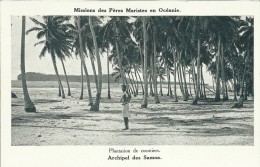 OCEANIE . SAMOA . PLANTATION DE COCOTIERS   . MISSIONS DES PERES MARISTES EN OCEANIE - Samoa