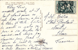 AFRIQUE OCCIDENTALE FRANCAISE 15f LE CAFE Sur CARTE POSTALE FAUNE AFRICAINE - Briefe U. Dokumente