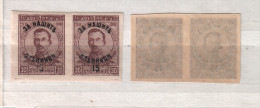 BULGARIA / Bulgarie 1920 - ERROR Michel 140 IMPERF. – Pair –MNH - Variedades Y Curiosidades