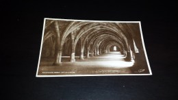 C-9039 CARTOLINA FOUNTAINS ABBEY - THE CELLARIUM - Bradford