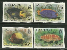 Ascension      "Fishes"    Set    SC# 262-65    MNH** - Ascensione