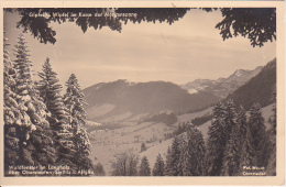 AK Waldfenster Im Langholz über Oberstaufen - Steibis Im Allgäu (6329) - Oberstaufen