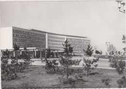 Serbie,belgrade,novi Beograd,savezno  Izvrsno  Vece,rare,1950 - Serbia