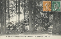 Puy De Dome : Courpiere, Le Sous Bois De La Cour D'Eté, Animée - Courpiere