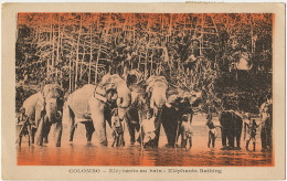 Ceylon Elephants Bathing Colombo Ship Cancel Marseille Yokohama Type Blanc Semeuse Mixte - Sri Lanka (Ceylon)