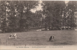 DOULAINCOURT - Un Coin De La Prairie (vaches) - Doulaincourt