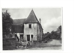 9767 -  Birsfelden Birsfelderhof Milchhüsli Für Den Orgelfonds Kirche (Format 10X15) - Birsfelden