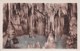 CPA Route De Bougie à Djidjelli - Grotte Merveilleuses De Dar-El-Oued (6413) - El-Oued
