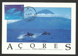 Portugal Açores Dauphin Dauphins Carte Maximum 1998 Azores Dolphin Dophins Maxicard - Dolphins