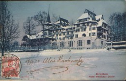 Switzerland - Postcard 1910 - Zurichberg,Hotel Waldhaus Dolder - 2/scans - Wald