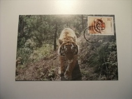 STORIA POSTALE FRANCOBOLLO  COMMEMORATIVO Cina China    Maximum Tigre  Tiger - Tijgers
