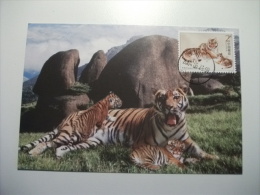 STORIA POSTALE FRANCOBOLLO  COMMEMORATIVO Cina China    Maximum Tigre  Tiger Con Cuccioli - Tigri