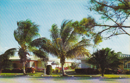 Florida Fort Lauderdale Canadian Club Apartments - Fort Lauderdale