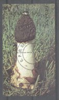 Guyana 1990 Mushrooms, Perf. Mini Sheet, Used T.128 - Guyana (1966-...)