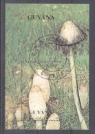 Guyana 1990 Mushrooms, Perf. Sheet, Used T.152 - Guyana (1966-...)