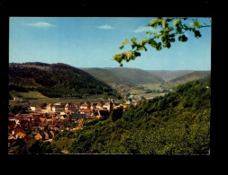 HORB AM NECKAR Schwarzwald Panorama Stadt Dorf  C.1970's - Horb