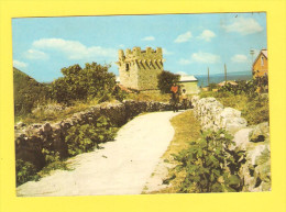 Postcard - Croatia, Olib       (V 22617) - Kroatien