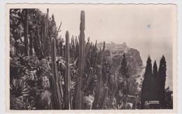 MONACO - N° 1435 - LES JARDINS EXOTIQUES - VUE SUR LE ROCHER DE MONACO - Jardín Exótico