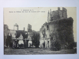 BIDACHE  :   Ruines Du Château Des Ducs De Gramont . - Bidache