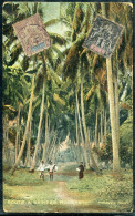 OCÉANIE - N° 1 & 3 / CPA DE MOORÉA, ROUTE A VAIHERE, OBL. PAPEETE EN 1907 - B - Briefe U. Dokumente