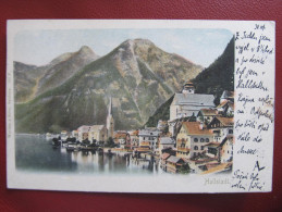 AK HALLSTATT 1900 ///  D*12828 - Hallstatt