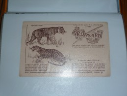 Buvard  Ronsard 5 Tigre ? - Papierwaren