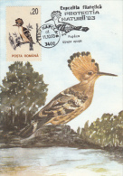 HOOPOE, BIRDS, CM, MAXICARD, CARTES MAXIMUM, 1993, ROMANIA - Piciformes (pájaros Carpinteros)