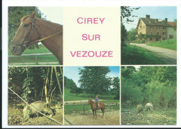 CIREY SUR VEZOUZE (M.et.M 54) Ecole D'équitation - Multivues Cavalière Cheval Sanglier (animée Voir Détails 2scan) MW877 - Cirey Sur Vezouze