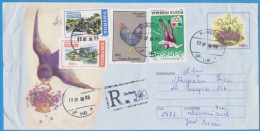 Bird, Birds Swallow ROMANIA Postal Stationery 1999 - Rondini