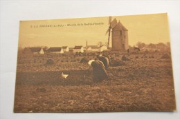 (NI02) CPA   La Brière  Moulin De La Rodrie Pendille - Saint-Joachim