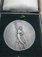 MEDAILLE DE : UNION DES SOCIETES DE GYMNASTIQUE DE FRANCE - Professionals/Firms