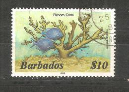 Sello Nº 618 Barbados   Usado. Valor Clave. - Fossiles