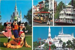 FLORIDE . ORLANDO . MAGIC MOMENT IN THE MAGIC KINGDOM . - Orlando